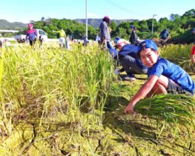 �u�ђ������Ăт�����!�v �Ì|��5�N��41�l�A�c��ڂň�菉�̌� �������̈Ɍ|�E���Ë斯���x��