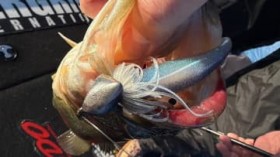 12���ɂ��Ă͒g�����A�g�~�H �����Ȃ瑁�t�Ɍ����X�C���W�O�Ńr�b�O�����y�����I�y�吼������OK���|�[�g�z