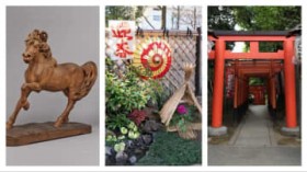 ���U����y���߂���Łg�n�h�̖��i�I���Ƌ{�́u�~�ڂ���v���甎���ق̍�����J��������A���Ǝ{�݂̉c�Ə��܂Ƃ߁i2026�N���w�j