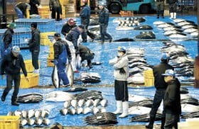 �X���u���Ԃ�錾�v�N���Ȃ��@4�G�Ԃ�