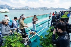 ���`�u���ݔ��v���S�ʊJ���A���`���C�l�V����������