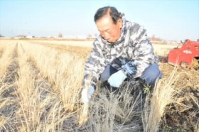 �y�������؁@�k�ЁE��������15�N�z��2���@�������O���E���{��?�@�Z���[�ύX�A�����̂��߁@�×��ւ̈����ς�炸