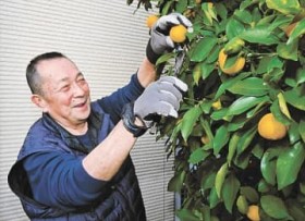 �y�������؁@�k�ЁE��������15�N�z��2���@�������O���E���{��?�@�u�ꎞ�I�v�z�肪15�N�@�Z���[�Ȃ���؂�