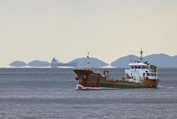 �C��ɂۂ�����c������������?�@�W�H������u�����v�ϑ�