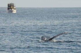 �N�W������?��I 1�΂ł����͏\���\�\�z�G�[���E�I�b�`���O�̋G�߂�����Ă����I�@�����哇�ߊC