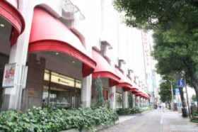 �k�C���̐l�C�َq�⑍�ؔ̔��@7�����牪�R������