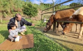 �u���킢���v�`���R�ƃ~�[�~�[ �ό��q�̐l�C�X�|�b�g�� �u�����^�J�[��������葖���Ă����v�Z������� ����E����s