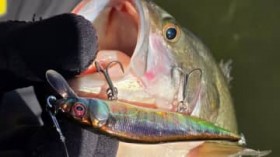 �J���[��48��ވȏ�? ���E�Ɍւ���{�����A�[�u�����e���v�Ƃ́y1��10���̓����e���̓��I�z