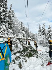 ���H���A�ꕔ�ŉ^�x�����@�X?�O�O�Ԃł����œ|�؁@11���r�V�\�z