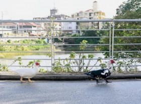 [����days]�ǂ��ƂȂ��}���� �ߔe�s��