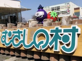 2���Ԍ���c�������𖳗��Ɂ@��ʁE���{�́u�ނ����̑��v�A�J��57���N��17�A18���Ɂ@�u���܂��v��u�ׂɂ��܁v�A���Y�C�`�S��H�ה�ׁ@�C�`�S�Ɋւ���C�x���g���������{