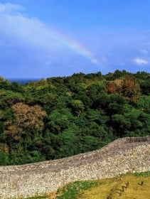 [����days]�V�t�̓��Ɋ肢�� ����E���A�m������