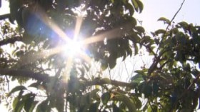 ��B��20������4�����݂̏����@�s�S��3����{���݁@���l�ł����Ȃ����Ă��ɍs��@���c�J�{���s�ɐl�E���u�㊯�݁v��2���ԑ҂�