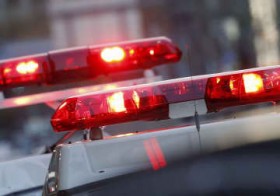 ��6�䎖�́A1�l�ӎ��s���@���ɁE���{�̍���2��