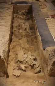 �`���n�ڂ̍l�Êw�I�V�����A2���B������2���𔭌@�\����