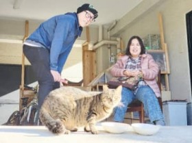 ����֑�΁c�u�ւ˂��v�𕜋������V���{���Ɂ@�ی슈����2�l��SNS�őS���ɔ��M�y�啪���z