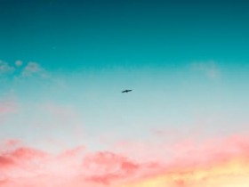 �y�l������*�����̉^���z2026�N1���̉^���u8�����܂�v(�a����:8��7���`9��6�����܂�)�̂��Ȃ��̉^�C��?�y���^�肢�z