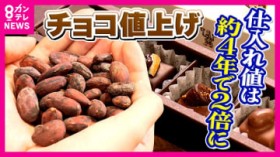 �o�����^�C���Ɋ�@�u�J�J�I�V���b�N�v���i2�{�ɍ����Ń`���R���[�g�l�グ���@�ُ�C�ی����Ŏ��n�ʂ��ቺ�@�~����ɁH���Y�J�J�I��u��փ`���R�v