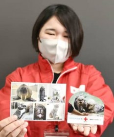 �����Œ��H�����كO�b�Y���炨���@19������R���{���@�O�d���ԏ\�����t�Z���^�[