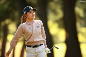 �Í]�ʉ������d�H�ƃX�|���T�[�_������@�u�V���ȋC������2026�N���}������v