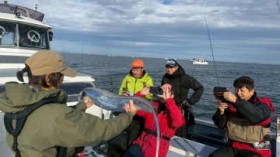 �y�����a�؂�Love Fishing�z�^�`�E�I��ނ�ɍs������܂����́w�_���i�V�F�������j�x�~�ՁI