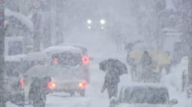 �u���������ł���v�`�ɋ���Ȑ�̉�c�g��̐���~���сh�������@�e�n�Ōx�񋉑��A�󌱐��ɂ��e��