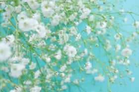 �����̉^����? ��2026�N1��31��(�y)12�����肢�����L���O! ��1�ʂ͋���(������)! ���Ȃ��̏��ʂ͉��ʁc!?