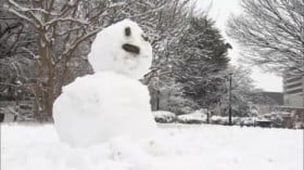 �֓��S���9�����X�_���̗₦���݂Ɂc9�����̍Œ�C���͓����s�S�Ɖ��l�s��?2���\�z