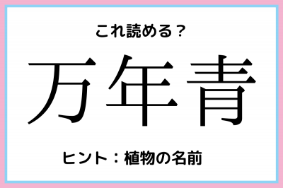 万年青 まんねんあお 読めそうで読めない 難読漢字 4選 Oricon News