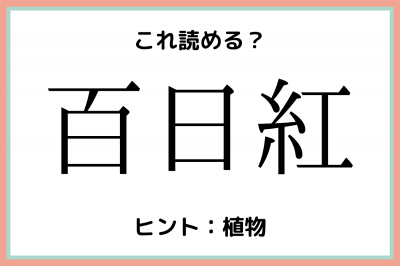 百日紅 ってなんて読む 読めたらスゴイ 難読漢字 4選 Oricon News