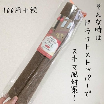 100円で暖房代が浮く！？《セリア》ドアに挟むだけ！簡単「防寒グッズ」が超優秀 | ORICON NEWS