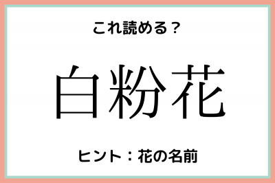 白粉花 って何 読めそうで読めない 難読漢字 4選 Oricon News