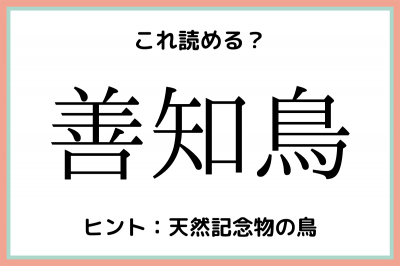 善知鳥 って何 読めたらスゴイ 鳥の難読漢字 4選 Oricon News