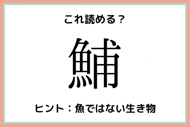 コレクション つなぎ言葉一文字