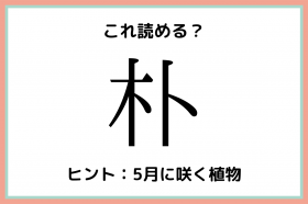 樫 堅い木 読めたらスゴイ 木へんの難読漢字 4選 Oricon News
