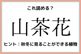鰐梨 って何て読む 実はあの野菜 意外と読めない 難読漢字 4選 Oricon News