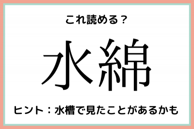 水綿 すいめん じゃないよ 意外と読めない 難読漢字 Oricon News