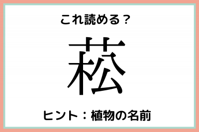 菘 まつ じゃない 読めそうで読めない 植物の難読漢字 4選 Oricon News