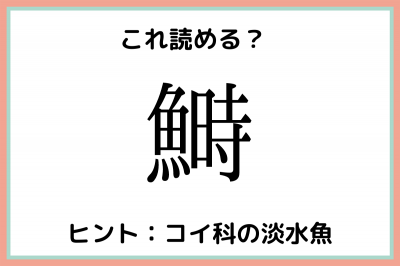 って何て読むっけ 読めたらスゴイ 難読漢字 魚編 Oricon News