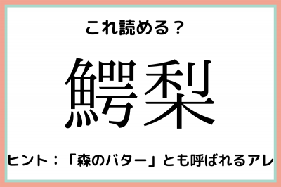 鰐梨 って何て読む 実はあの野菜 意外と読めない 難読漢字 4選 Oricon News