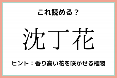 沈丁花 ちんちょうか 読めたらスゴイ 植物の難読漢字 4選 Oricon News