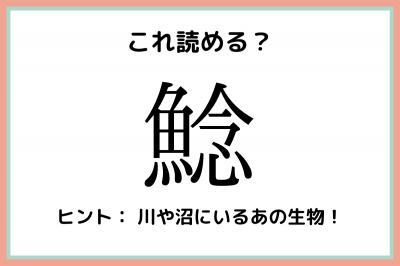 鯰 魚が念じる 読めたらスゴイ 魚の難読漢字 4選 Oricon News