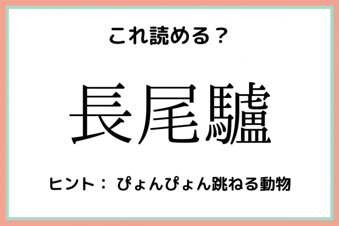 長尾 礼奈様 ご確認ページ - キッチン用品