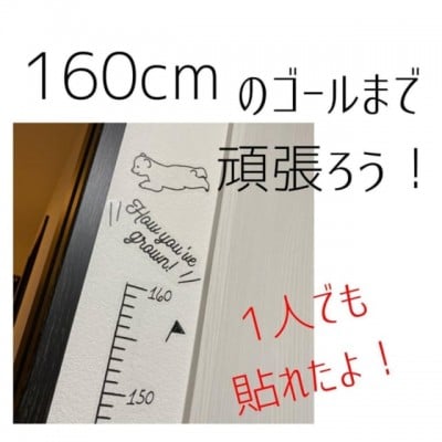 身長 ウォール ステッカー 100 販売 均