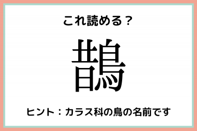 鵲 むかしのとり 読めたらスゴイ 鳥の難読漢字 4選 Oricon News