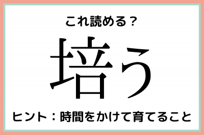 培う ばいう 読めたらスゴイ 難読漢字 4選 Oricon News