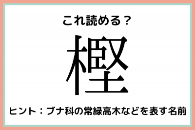 樫 堅い木 読めたらスゴイ 木へんの難読漢字 4選 Oricon News