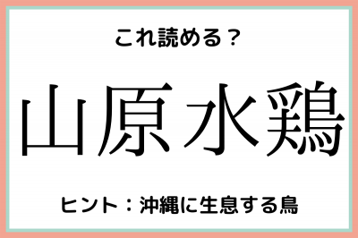 山原水鶏 さんげんみずとり 読めたらスゴイ 鳥の難読漢字 4選 Oricon News