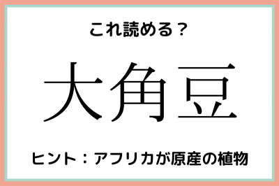 大角豆 おおかどまめ 読めたらスゴイ 難読漢字 4選 Oricon News