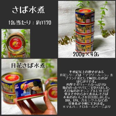 マルハニチロ 月花 さば水煮 200g 天日塩 DHA EPA おかず